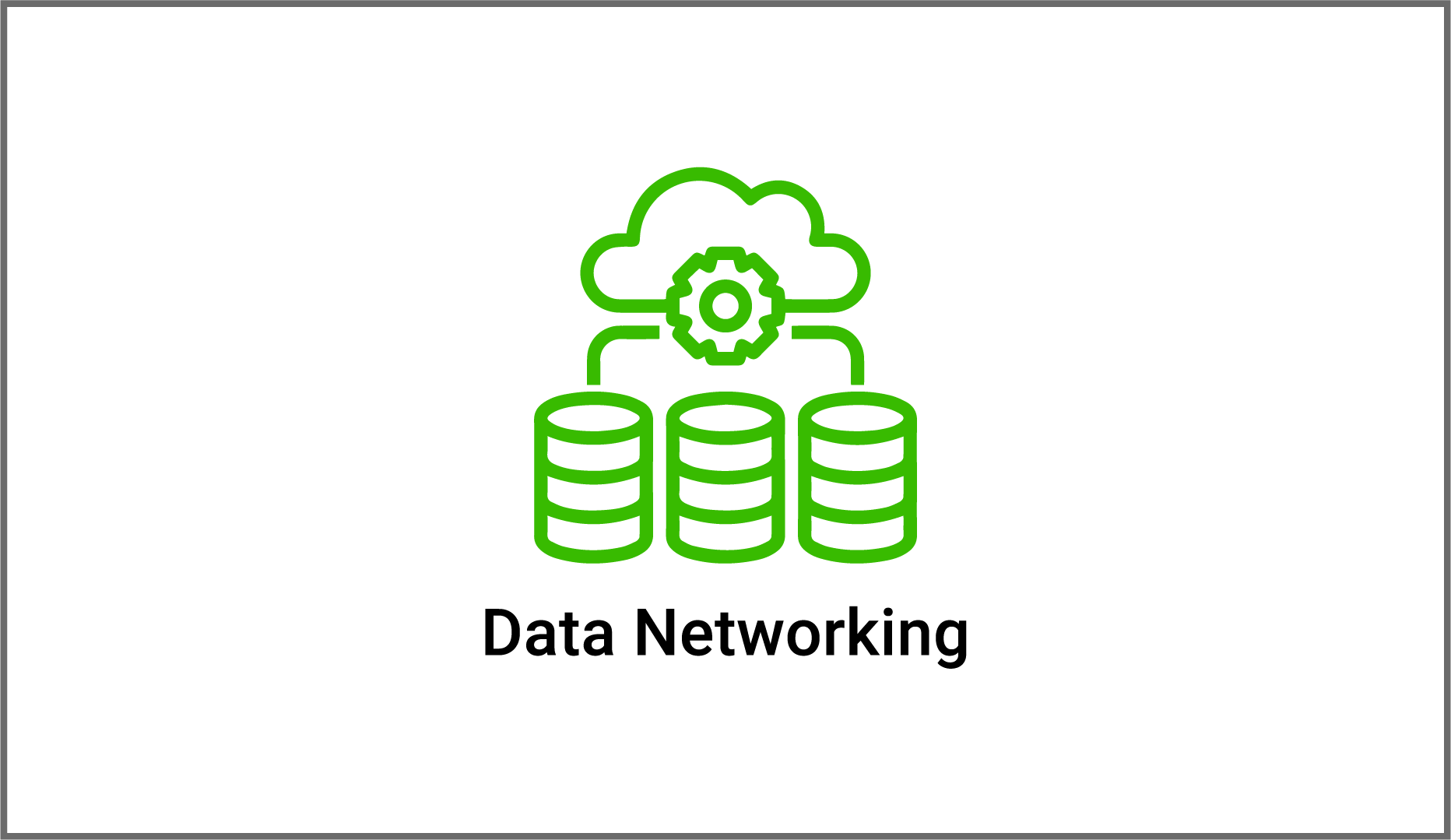 Data Networking